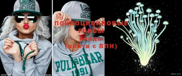 ГАЛЛЮЦИНОГЕННЫЕ ГРИБЫ Зерноград