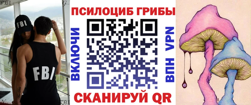 Псилоцибиновые грибы ЛСД  hydra рабочий сайт  Чебоксары 
