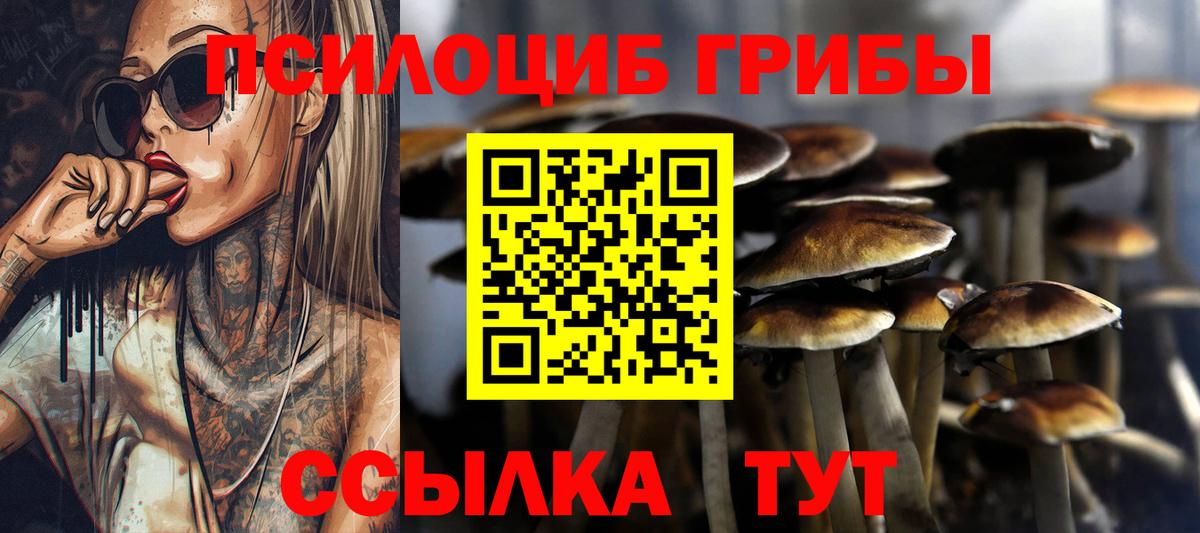 Чебоксары  наркота  Вход с VPN  Галлюциногенные грибы ЛСД  Псилоцибиновые грибы Psilocybine cubensis 